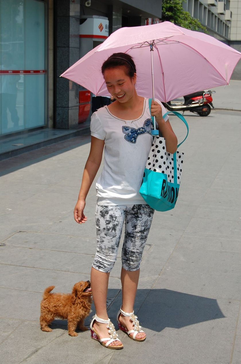 Hundeliebe in China Chengdu